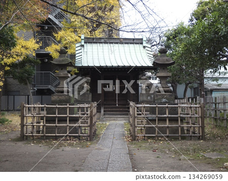 A shrine and stone lantern protected by yellow leaves and a bamboo fence 134269059