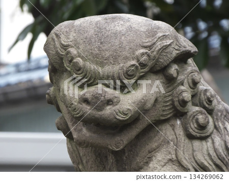 神社內供奉著一尊古老的石雕護衛犬（運慶），它抱著一頭小獅子。 134269062