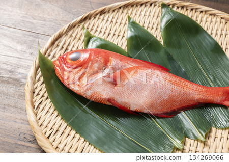 紅鯛魚 134269066