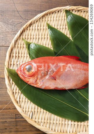 紅鯛魚 紅鯛魚 134269069