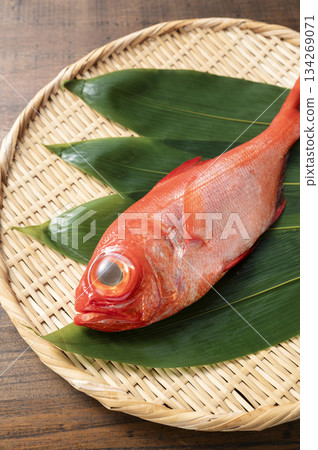 紅鯛魚 134269071