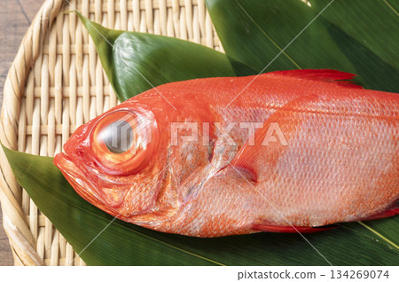 Red snapper Red snapper 134269074