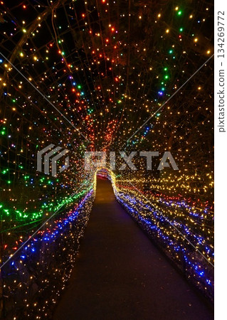 Tunnel of Light (Vertical Composition) Tunnel of Light (Vertical Composition) 134269772