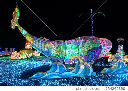 Whales swimming in the light 134269868