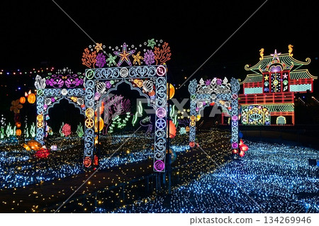 Colorful illuminations leading to the castle 134269946