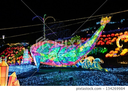 The back of a light whale The back of a light whale 134269984