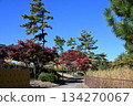 Honmoku City Park Autumn leaves 134270067