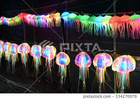 發光水母的照明 134270079