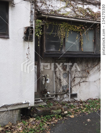 Ivy-covered exterior wall of an old house, wooden-framed windows, and a gas meter Ivy-covered exterior wall of an old house, wooden-framed windows, and a gas meter 134270380