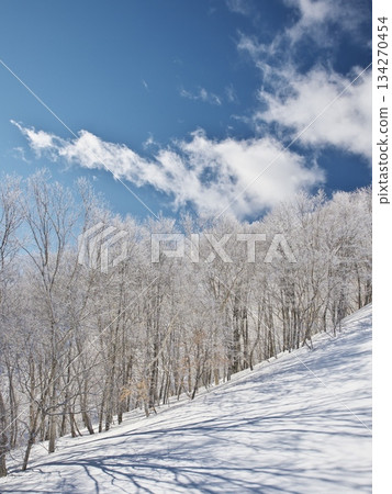Winter at Madarao Kogen Ski Resort: Rime-covered River Line and Tree Run Course 134270454