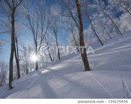 斑尾高原滑雪場的冬季：冰霜覆蓋的河道和樹林滑道 134270456