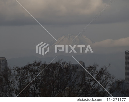 A fantastical distant view of Mt. Fuji rising above trees and skyscrapers under a cloudy sky 134271177