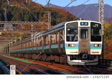 [CO] 中央本線211系列車上的秋葉（6節固定編組：高尾⇔松本） 134271197