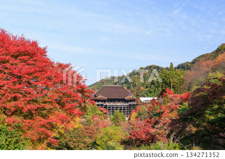 京都的秋天:清水寺與清水舞台(京都府京都市東山區) 京都的秋天:清水寺與清水舞台(京都府京都市東山區) 134271352