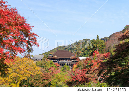 京都的秋天：清水寺與清水舞台（京都府京都市東山區） 134271353