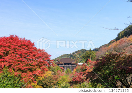 京都的秋天：清水寺與清水舞台（京都府京都市東山區） 134271355