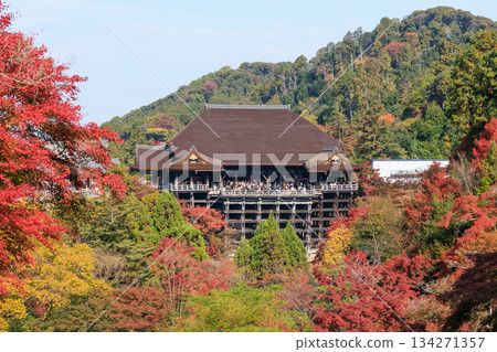 Autumn in Kyoto: Kiyomizu-dera Temple and the Stage of Kiyomizu (Higashiyama Ward, Kyoto City, Kyoto Prefecture) Autumn in Kyoto: Kiyomizu-dera Temple and the Stage of Kiyomizu (Higashiyama Ward, Kyoto City, Kyoto Prefecture) 134271357