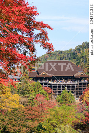 京都的秋天：清水寺與清水舞台（京都府京都市東山區） 134271358
