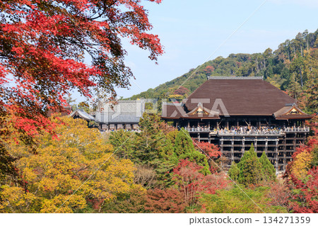 京都的秋天：清水寺與清水舞台（京都府京都市東山區） 134271359