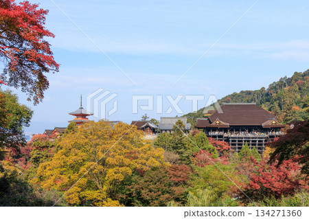 京都的秋天：清水寺與清水舞台（京都府京都市東山區） 134271360