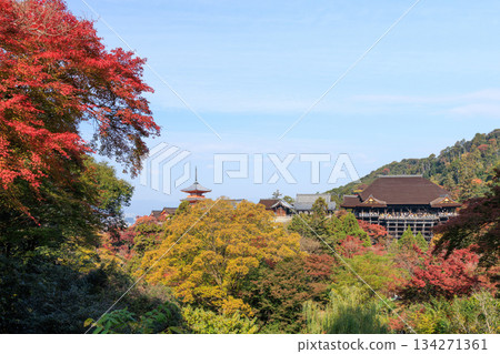 Autumn in Kyoto: Kiyomizu-dera Temple and the Stage of Kiyomizu (Higashiyama Ward, Kyoto City, Kyoto Prefecture) Autumn in Kyoto: Kiyomizu-dera Temple and the Stage of Kiyomizu (Higashiyama Ward, Kyoto City, Kyoto Prefecture) 134271361