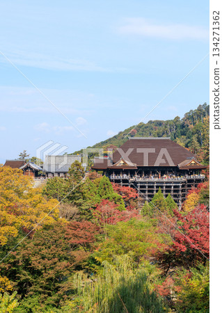京都的秋天：清水寺與清水舞台（京都府京都市東山區） 134271362