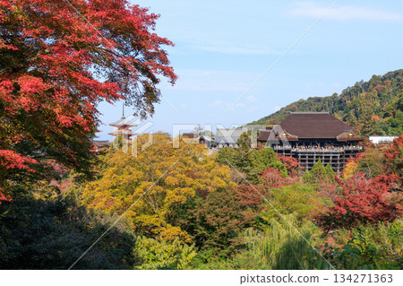 京都的秋天:清水寺與清水舞台(京都府京都市東山區) 京都的秋天:清水寺與清水舞台(京都府京都市東山區) 134271363