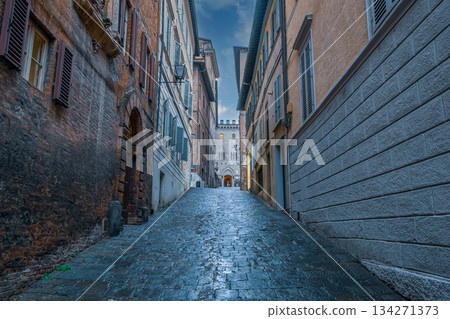 Rainy Medieval Alley 134271373