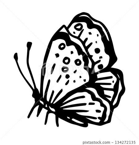 A stylized vector butterfly for alpine meadows 134272135
