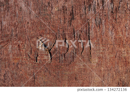 Natural texture close-up: an organic pattern of cracks, grooves, and rough surface Natural texture close-up: an organic pattern of cracks, grooves, and rough surface 134272136