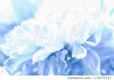 Airy blue floral abstract background with soft focus petals, creating a delicate, light texture 134272217