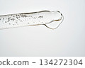 Cosmetic pipette dispensing serum with bubbles and liquid drop 134272304