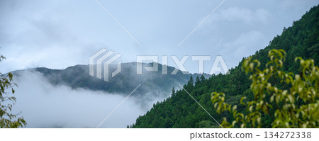 晨霧籠罩,山巒披上了翠綠的外衣。 晨霧籠罩,山巒披上了翠綠的外衣。 134272338