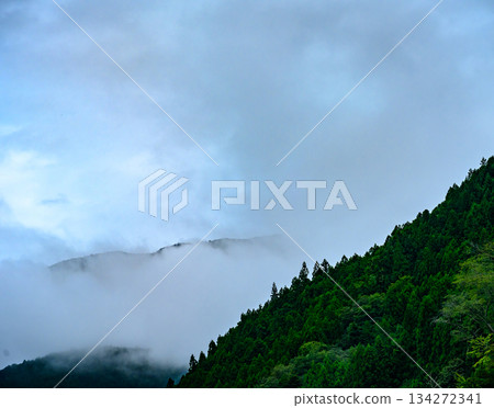 Green mountains and sky shrouded in mist 134272341