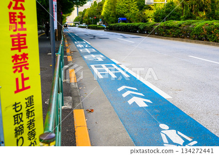 Bicycle lanes and no-parking signs in the city center Bicycle lanes and no-parking signs in the city center 134272441