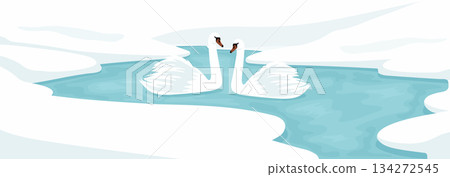 Two White Swans Couple On Frozen River Snow Landscape Minimalist Vector Illustration. 134272545