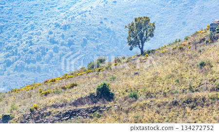 Mountain view in France 134272752