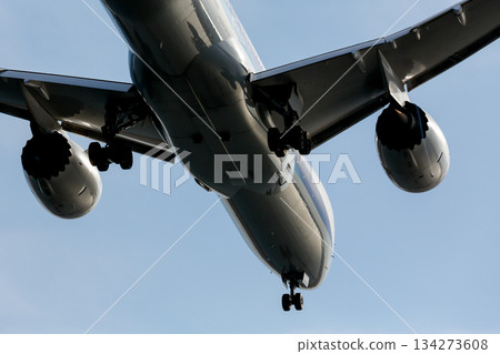 Close-up of an airplane just before landing seen from directly below 134273608