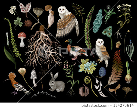 Rewild organic owl vector with earthy moss root elements in raw isolated nature Rewild organic owl vector with earthy moss root elements in raw isolated nature 134273614