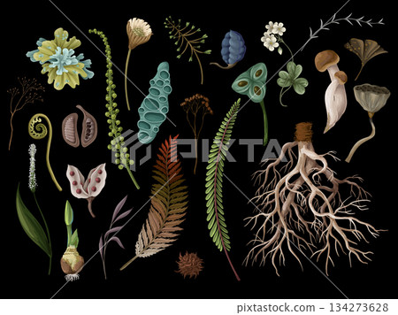 Rewild moss root organic soil earthy raw botanical elements eco vector pattern design isolated. 134273628