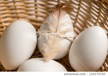 Easter, spring background. White chicken eggs in egg carton box with feather Easter, spring background. White chicken eggs in egg carton box with feather 134274193
