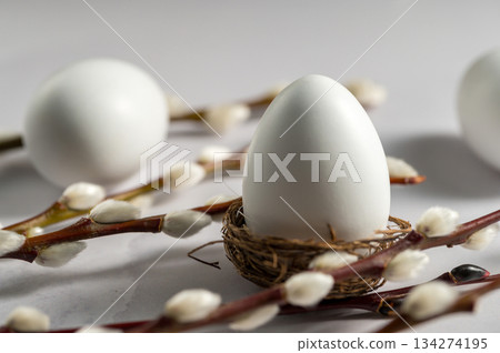 Easter background. Willow branches and white egg in a nest. Spring time. Minimalistic and bright concept Easter background. Willow branches and white egg in a nest. Spring time. Minimalistic and bright concept 134274195