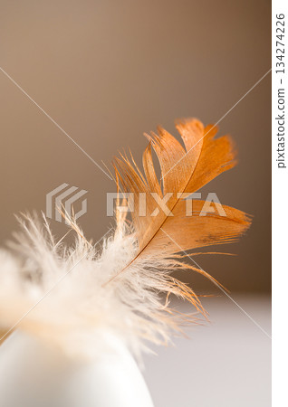 Easter holiday. White egg with a feather, bright minimalistic background 134274226