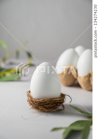 Easter white egg in a nest, abstract spring holiday background 134274230