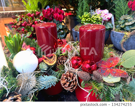 Christmas advent candle arrangement with cyclamen and azalea 134274255