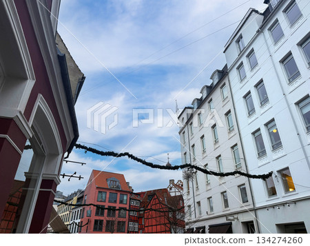 Copenhagen old town facades with Christmas garland on winter day 134274260