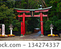 Torii gate of Yahiko Shrine 134274337
