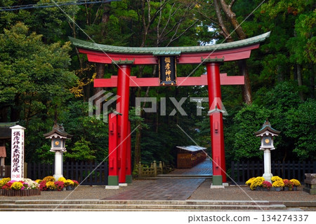 彌彥神社的鳥居 彌彥神社的鳥居 134274337