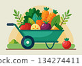 Colorful wheelbarrow with vegetables. Cartoon vector illustration 134274411