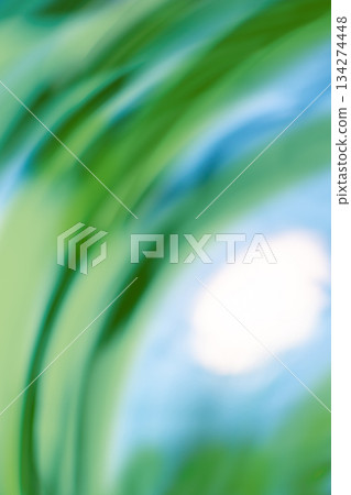 Blur beautiful nature palm nature background. Blurred defocused background 134274448